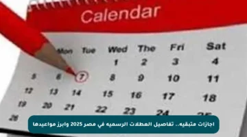 إجازات متبقية.. تفاصيل العطلات الرسمية في مصر 2025 وأبرز مواعيدها